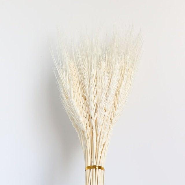 30pcs Natural Dried Pampas Grass Bouquet Pampas Grass Reeds Flowers Bulrush Bouquets Durable For for Vase Artificial Grass Room Décor Wedding Decorations
