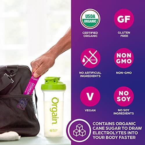 Organic Vegan Protein Powder — Creamy Chocolate Fudge Blend