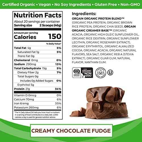 Organic Vegan Protein Powder — Creamy Chocolate Fudge Blend