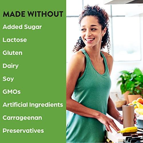 Organic Vegan Protein Powder — Creamy Chocolate Fudge Blend